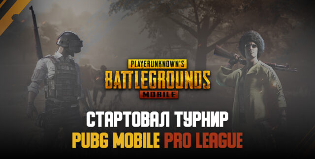 Стартовал турнир PUBG MOBILE Pro League с призовым фондом $150 000
