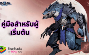 คู่มือสำหรับผู้เริ่มต้น EverChest:15000 Chest Giveaway พร้อมเคล็ดลับและเทคนิคสำหรับผู้เล่นใหม่