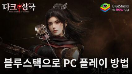 다크삼국: 전략 전투 RPG 블루스택으로 PC 다운로드 및 플레이 방법