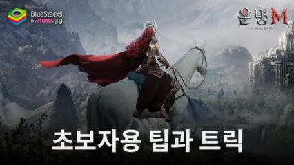 운명M: 깨어난 발키리: 새로운 플레이어를 위한 캐릭터들과 컨텐츠 소개