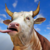 Scary Cow Simulator Rampage