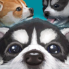 Cute Pocket Puppy 3D – Part 2