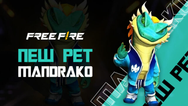 Pet Rift codes