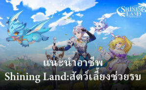 แนะนำอาชีพในเกม Shining Land:สัตว์เลี้ยงช่วยรบ