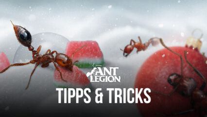 Tipps & Tricks zum Spielen von Ameisenlegion für den Schwarm
