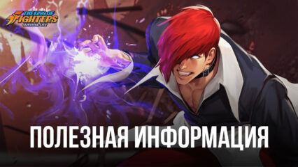 King of Fighters: Survival City – Полезная информация об игре