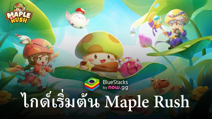 คู่มือเริ่มต้นการเล่น Maple Rush สำหรับผู้เล่นใหม่