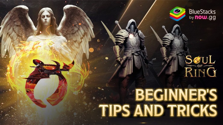 The Best Soul of Ring: Revive Tips and Tricks for Beginners and Newcomers