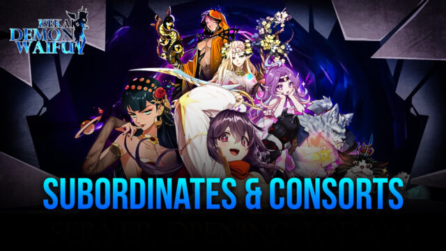 Everything You Need To Know About Subordinates & Consorts in ISEKAI: Demon Waifu