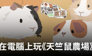 如何使用BlueStacks在電腦上玩韓系美學手遊《天竺鼠農場》