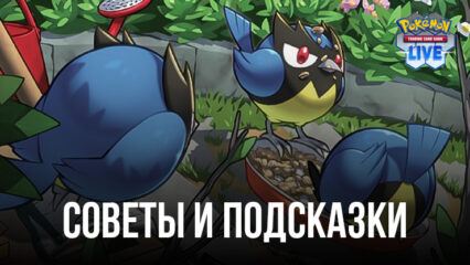 Советы и подсказки по игре Pokémon TCG Live