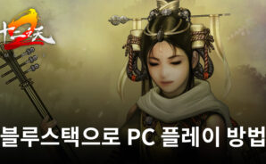 십이지천2M: RPG 블루스택으로 PC 다운로드 및 플레이 방법