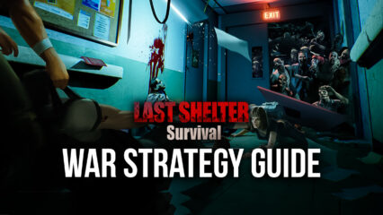 War Strategies for Last Shelter: Survival