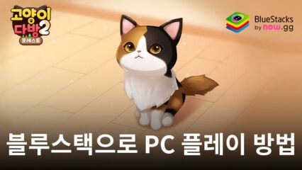 고양이다방2 포레스트: 힐링 3D 시뮬레이션 RPG 블루스택으로 PC 다운로드 및 플레이 방법