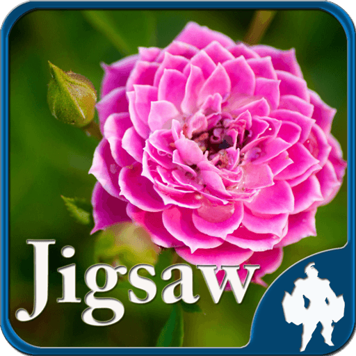 Flower Jigsaw Puzzles