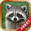 Animals for Kids