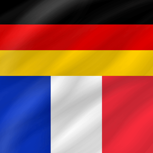French – German : Dictionary & Education