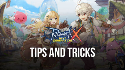 5 Tips and Tricks for Your Journey in Ragnarok X: Rise of Taekwon