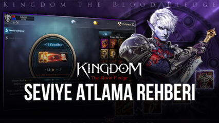 Kingdom: The Blood Pledge Seviye Atlama Rehberi