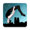 Backflip Madness