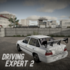 Driving Expert 2: Driving Sim