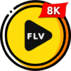 FLV Video Player – mVid Player