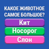 Знания Сила : Викторина