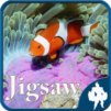 Sea Life Jigsaw Puzzles