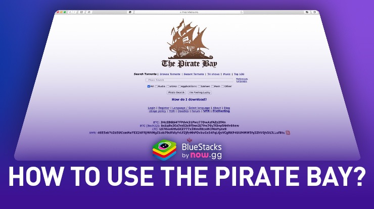 Navigating the Internet: Finding the The Pirate Bay