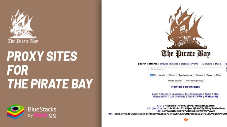 Uncharted Waters: Navigating Proxy Sites for The Pirate Bay