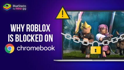 Why Roblox is Blocked on School Chromebooks and How to Play it in 2024