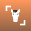 Horse Scanner – #1 Horse Breed Identification
