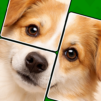 Jigmagic Solitaire Puzzle