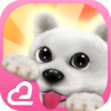 Hi! Puppies♪