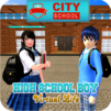 High School Boy Virtual Life