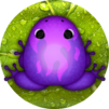 Pocket Frogs