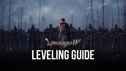 Basic Leveling Guide For Lineage W