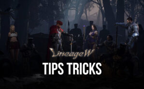Tips & Tricks To Help You Play Lineage W