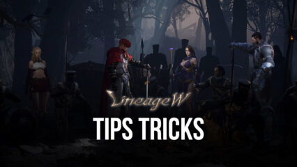 Tips & Tricks To Help You Play Lineage W