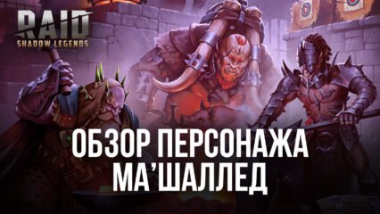 Raid: Shadow Legends. Гайд по герою Ма’Шалледу