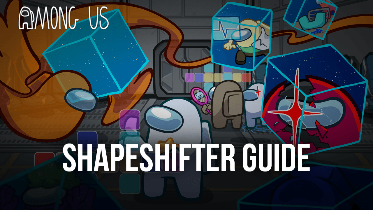 How To Measure – Shapeshifters