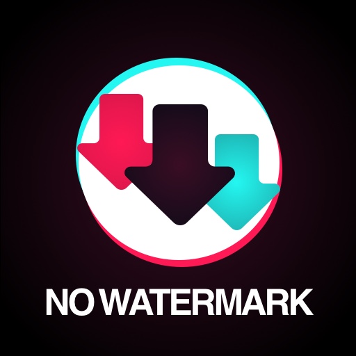 Descargador de TikTok
