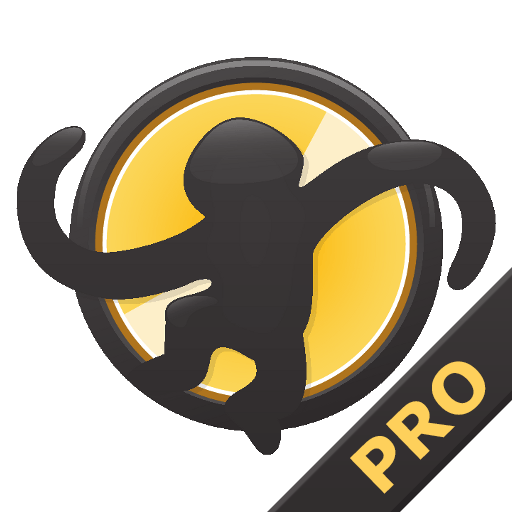MediaMonkey Pro