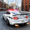 US Police Car Chase Driving 3D