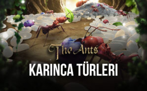 The Ants: Underground Kingdom Oyunundaki Karınca Türleri