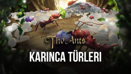 The Ants: Underground Kingdom Oyunundaki Karınca Türleri