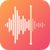 Voice Recorder & Sprachmemos