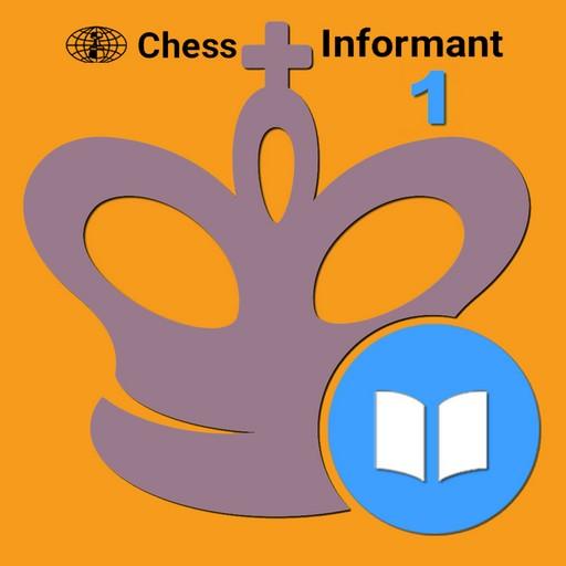 Encyclopedia Chess Combinations Vol. 1 Informant