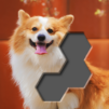 Block Hexa Jigsaw Puzzle