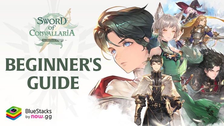 Sword of Convallaria Beginner’s Guide: Learn the Basic Gameplay Mechanics